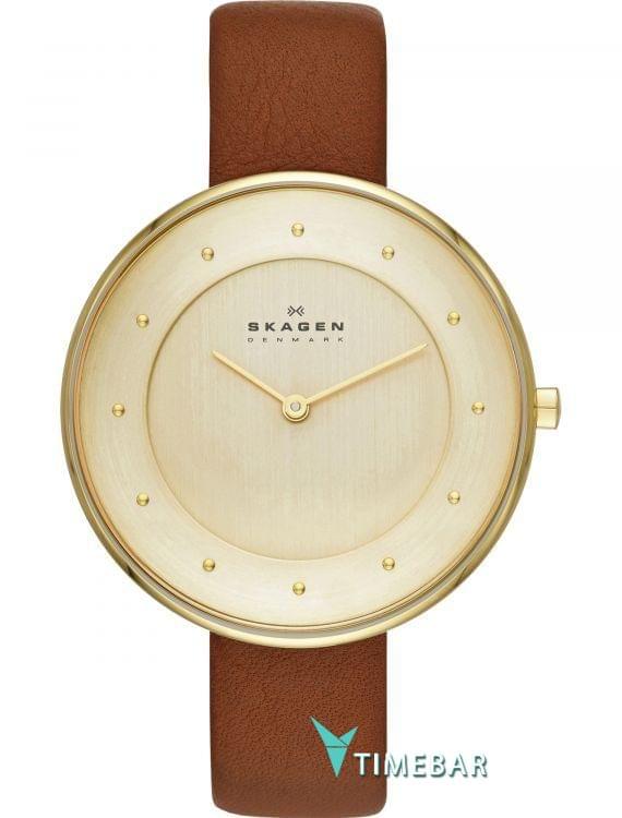 Наручные часы Skagen SKW2138, стоимость: 9720 руб.